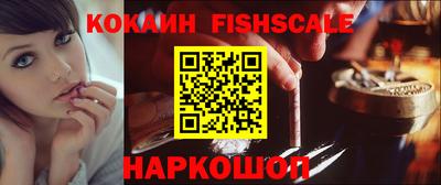шишки Камышлов