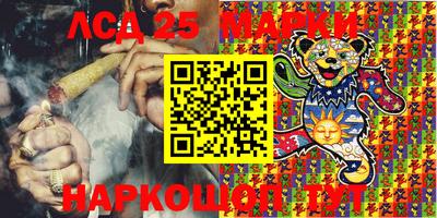 шишки Камышлов