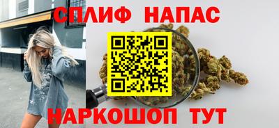 шишки Камышлов