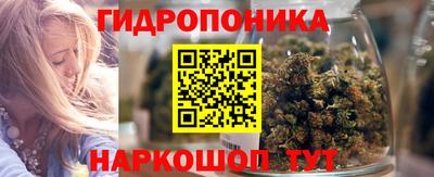 тгк Канаш