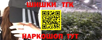 шишки Камышлов