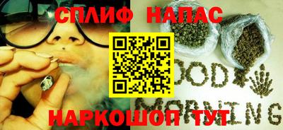 шишки Камышлов
