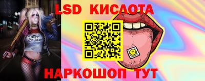 шишки Камышлов